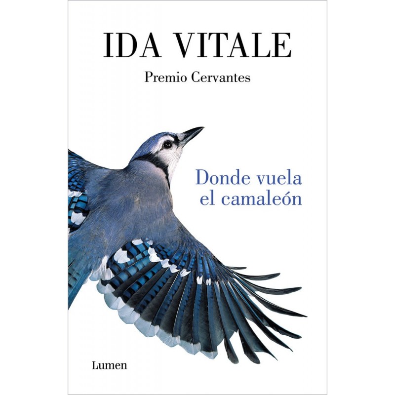 IMAGEN NO DISPONIBLE