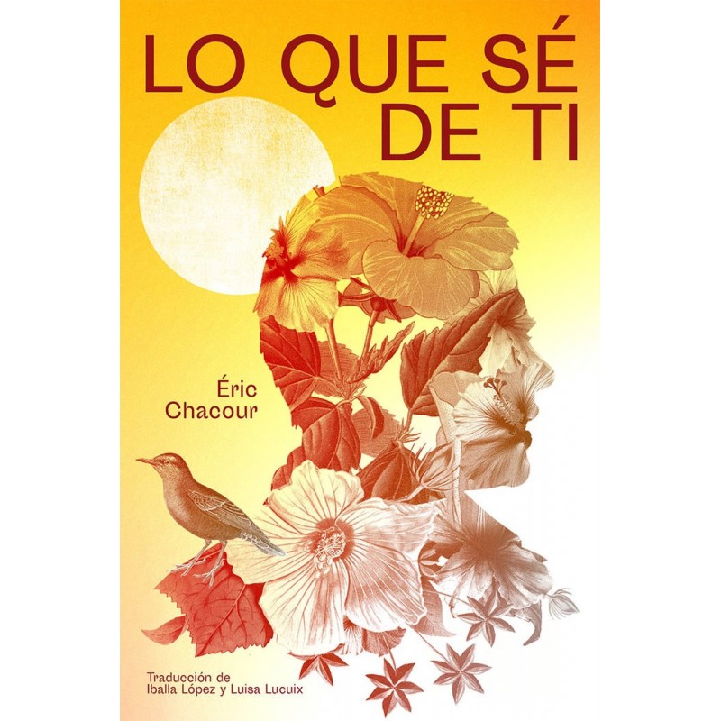 IMAGEN NO DISPONIBLE